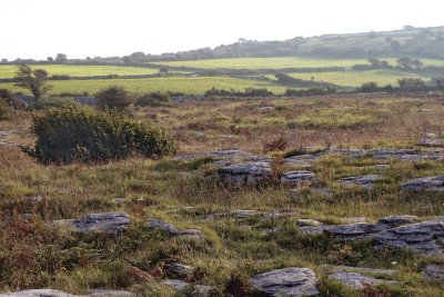 Poulnabrone Dolmen area