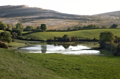 Fen in Burren National Park