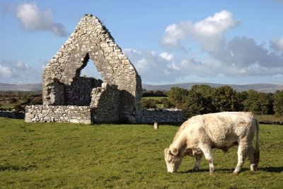 Ruins of the Kilmacduagh monastery