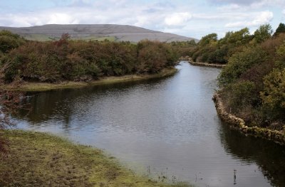 Creek in The Burren