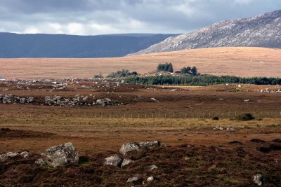 Colorfull Connemara