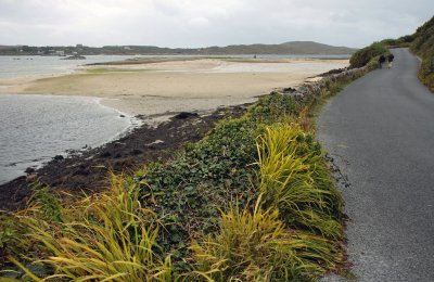 View on Clifden Bay from Beach Rd.
