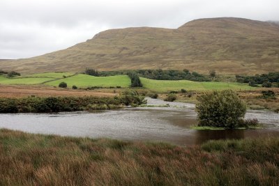 Mayo landscape