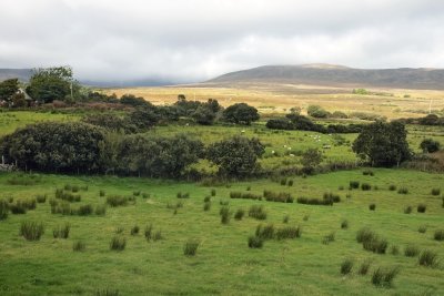 Mayo landscape