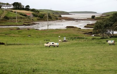 Offshoot of the Newport Bay