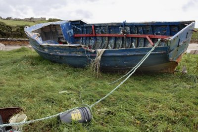 Blue colored boat