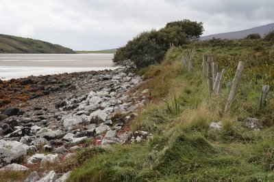 Offshoot of the Clew Bay
