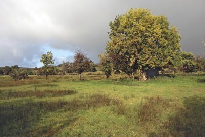 Just before the thunderstorm arrives