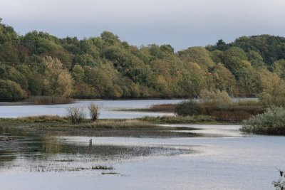 Lough Oughter