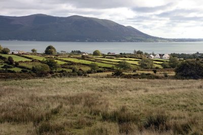 Carlingford Lough