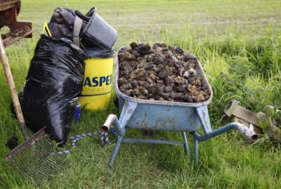 Wheelbarrow full of shit