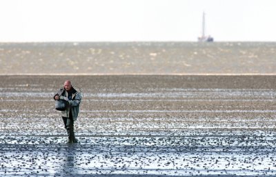 Return from digging for sea worms