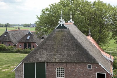 Traditional reed farm roof