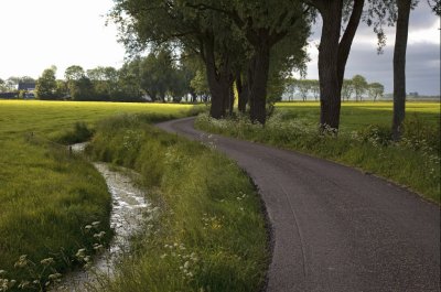 Winding road