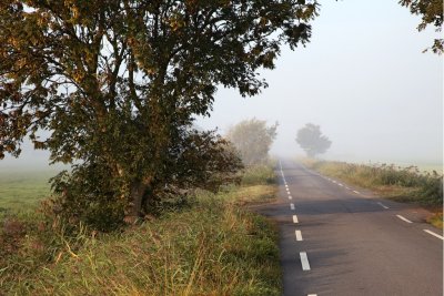 Aarlanderveenseweg