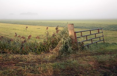 Fence