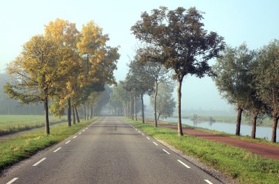 Quiet road at a misty sunday morning