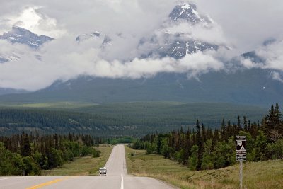 David Thompson Highway (Hwy 11) and The Rocky Mountains
