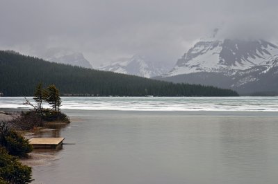 Bow Lake on a rainy day