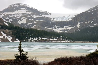 Bow Glacier and Bow Lake