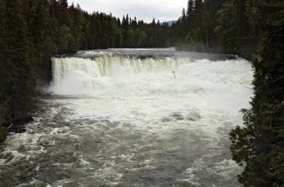 Dawson Falls (Murtle River)