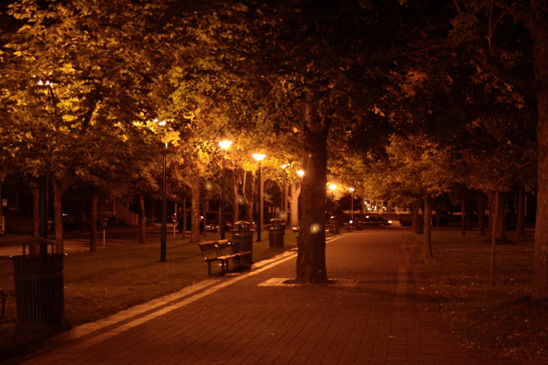 Parc Dessaulles