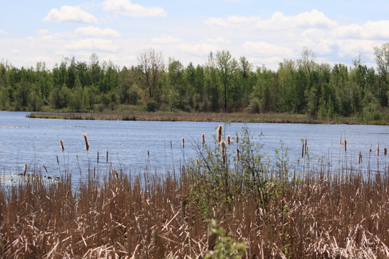 Centre dInterprtation de la Nature du Lac Boivin