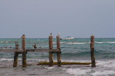 g1/52/826452/3/110172355.DFGTTn9M.jpg