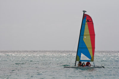 g1/52/826452/3/110172670.FjDIiexj.jpg