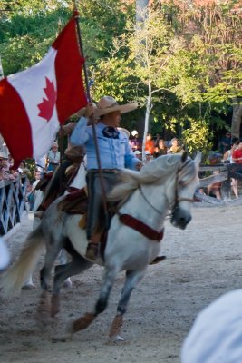 Drapeau canadien