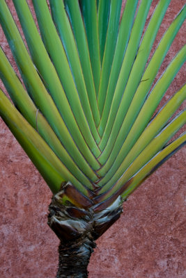 g1/52/826452/3/110283071.hYSLvfWm.jpg