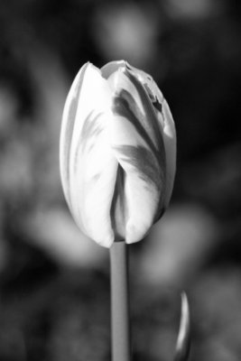 g1/52/826452/3/112540419.jWvFH5tr.jpg