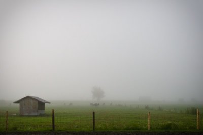 Un matin brumeux  la ferme