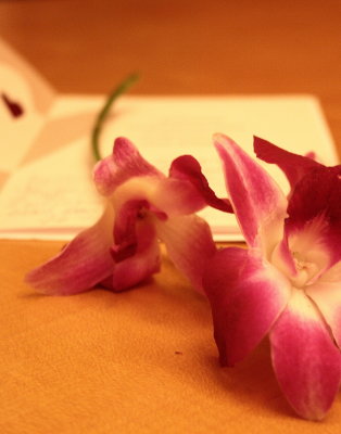 g1/52/826452/3/93000130.EAuetJly.jpg