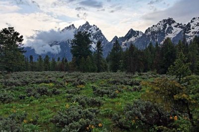 The Tetons, after the storm