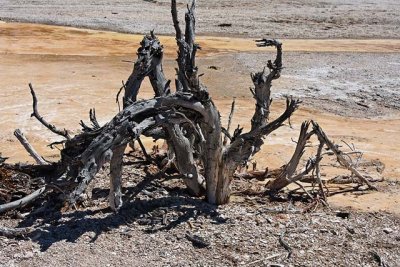 Lower Geyser Basin