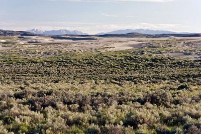 Killpecker Sand Dunes, off Hiway 191, north of Rock Springs