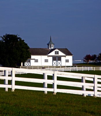 Horse Farm 1.jpg