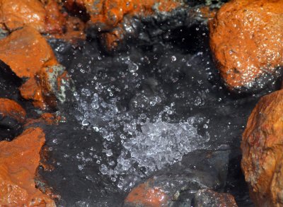 Mud Pot Art 12.jpg