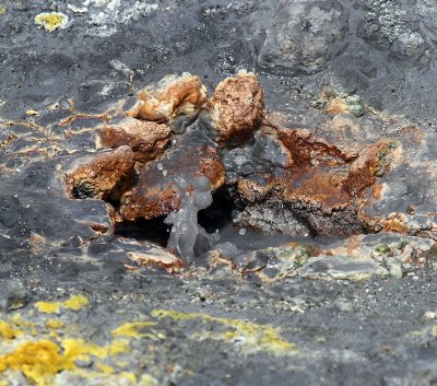 Mud Pot Art 14.jpg