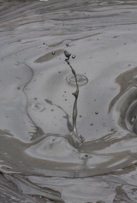 Mud Pot Art 5.jpg