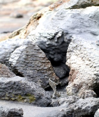 Geothermal Details 1.jpg