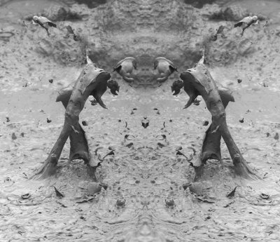 Mud Pot Art 17.jpg