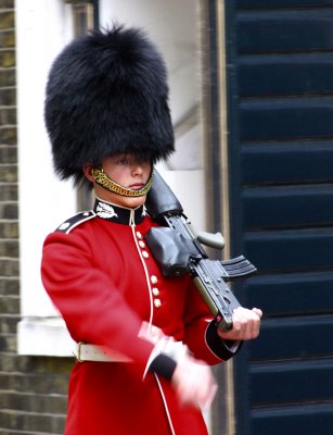 Buckingham Palace Guards 3.jpg
