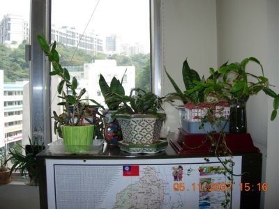 DSCN0459.JPG