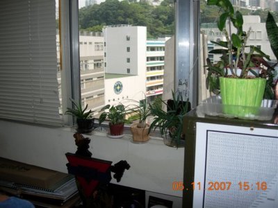 DSCN0460.JPG
