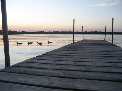 IMG_1869.JPG