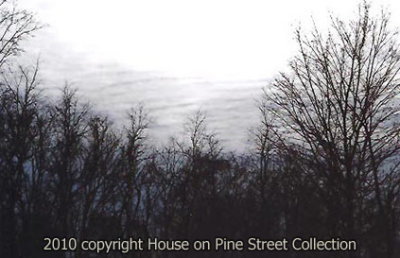 Remains of a Winter's Day.jpg