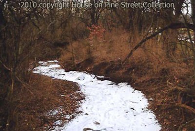 Frozen Journey.jpg