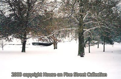 Winter's Solitude.jpg